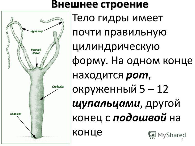 Kraken 4 ссылка